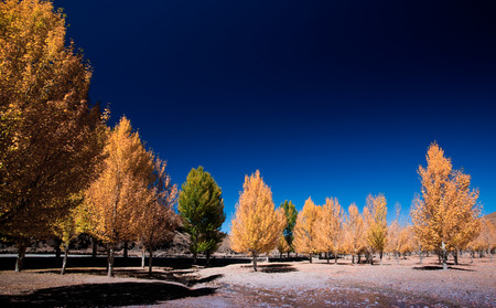 Sichuan Daocheng sceneryの写真素材