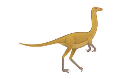Gallimimus. The generic name means "chicken mimic" Vector cartoon dinosaur.のイラスト素材