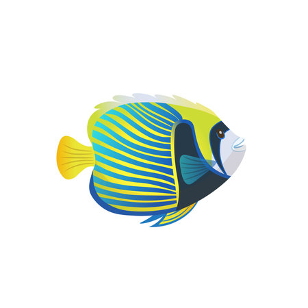 Cartoon an emperor angelfish on a white background. Vector illustration.