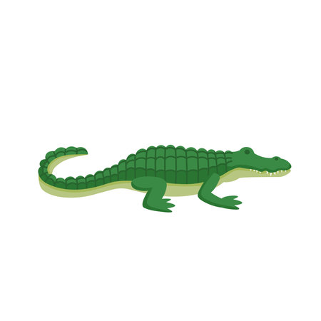 Cartoon crocodile on a white background.Flat cartoon illustration for kids.のイラスト素材