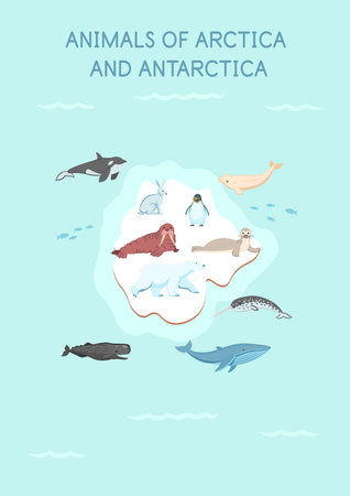 Animals of the arctica and antarctica map: penguin, hare, whale, seal, killer whale, polar bear, walrus, sperm whale, narwhal, beluga whale on a white background.Flat cartoon illustration for kids.のイラスト素材