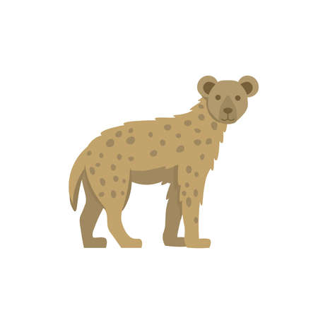 Cartoon hyena on a white background.Flat cartoon illustration for kids.のイラスト素材