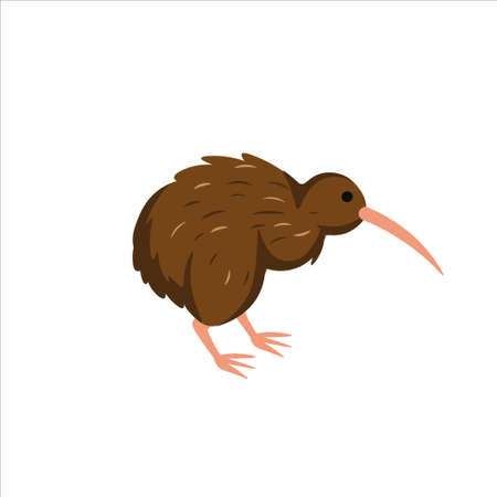 Cartoon kiwi bird on a white background.Flat cartoon illustration for kids.のイラスト素材