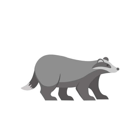 Cartoon badger on a white background.Flat cartoon illustration for kids.のイラスト素材