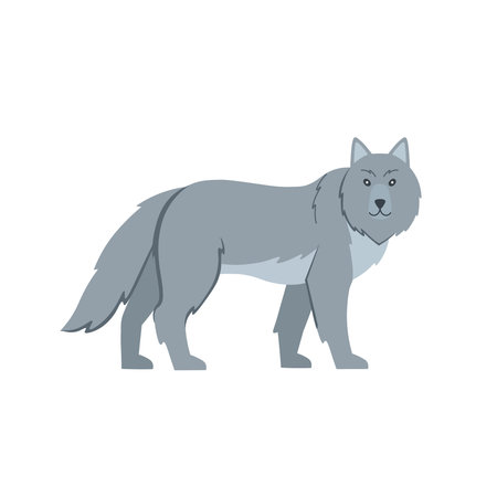 Cartoon wolf on a white background.Flat cartoon illustration for kids.のイラスト素材
