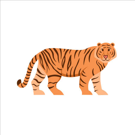 Cartoon tiger on a white background.Flat cartoon illustration for kids.のイラスト素材