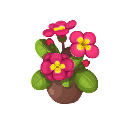 PrimevÃ¨re Primula flower in a pot on a white background, hand drawing vector in cartoon style.のイラスト素材