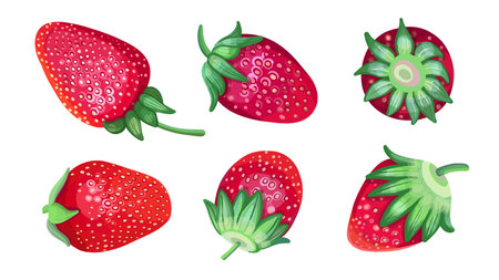set realistic strawberries lying on white backgroundのイラスト素材