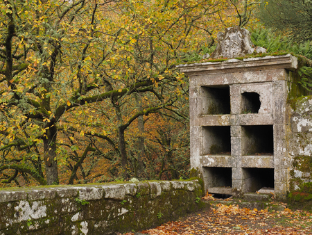 Old medieval cemetery in ruins of the monastery of San Pedro de Rocas, Ribeira Sacra, Ourense. Spainのeditorial素材