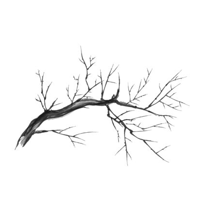Bare branch isolated vector silhouette graphics. Close up of dry branch. Vector illustration.のイラスト素材