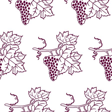 Seamless vector pattern with grapes. Vector illustration of bunch of grapesのイラスト素材