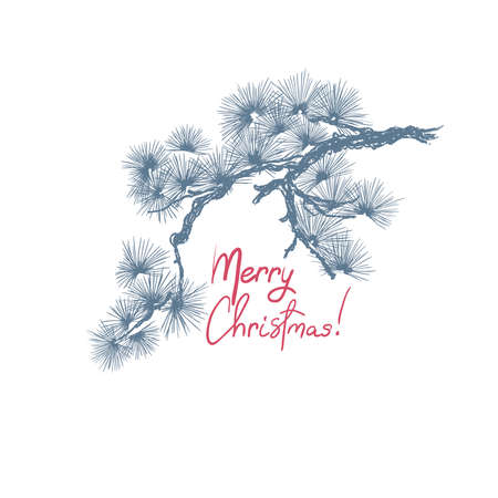 Christmas pine tree branch, hand drawn vintage style. Vector illustrationのイラスト素材