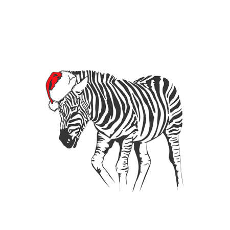 Graphical zebra in Santa Claus hat isolated on white background, new year illustration. Vectorのイラスト素材