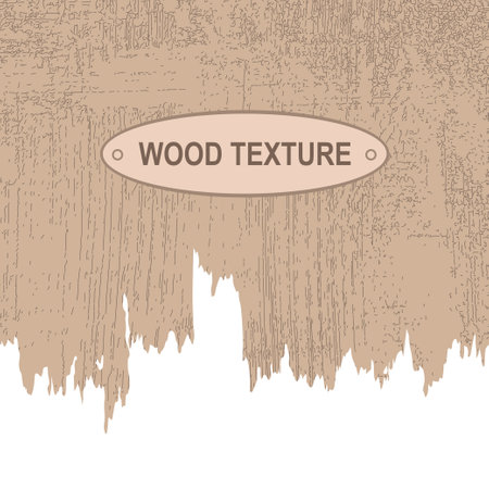 The background is wooden, the wall with a broken edge. Vector.のイラスト素材