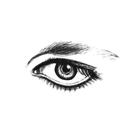 Realistic expressive eye, isolated. Fashion sketch. Vectorのイラスト素材