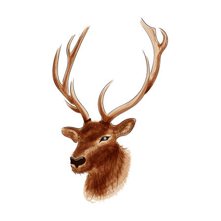 Hand drawn watercolor deer illustrationのイラスト素材
