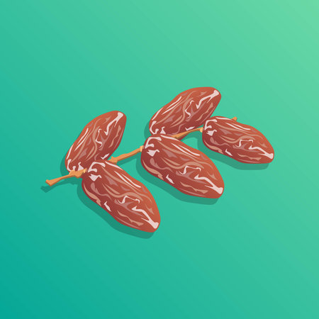 Dried date palm fruits vector illustrationのイラスト素材