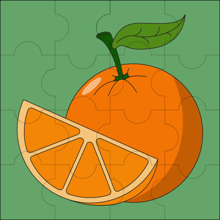 Orange fruit suitable for children's puzzle vector illustrationのイラスト素材