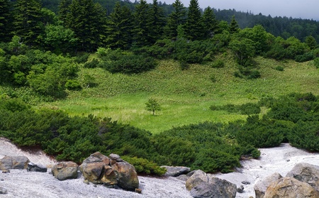  inspiration point mountain forestの写真素材