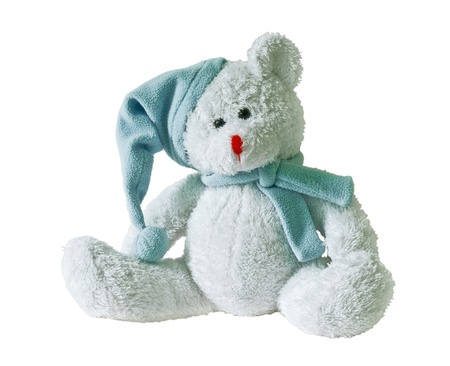 Teddy Bear on white backgroundの写真素材