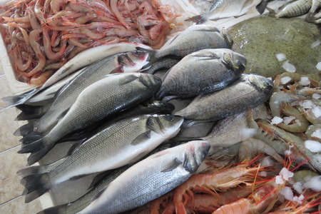 Seabass and dorado from Adriatic sea at the fish market in Bar-city, Montenegro.の写真素材