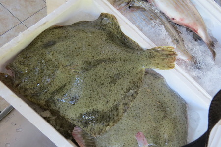Flounder (plaice, flatfish, Scholle, Flunder) from Adriatic sea at the fish market in Bar-city, Montenegro.の写真素材