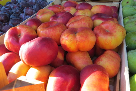 Fresh red tangerines at the food market in Bar-city, Montenegroの写真素材