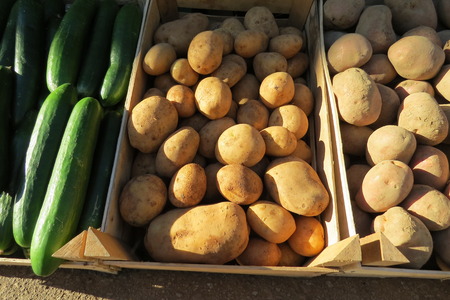 Fresh big brown potatoes at the food market in Bar-city, Montenegroの写真素材