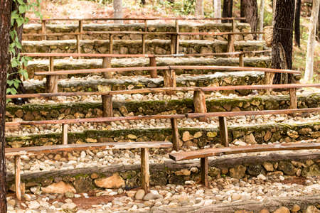 Park bench in pine forestの写真素材
