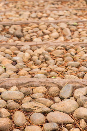 Textured of stone in natureの写真素材