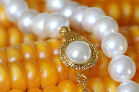 Jewelry and Food Series  Pearl Necklace On Maize Corn 