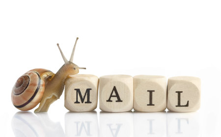 Snail Mail - a little snail is climbing on the blocks mail for Letter M 