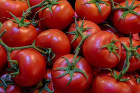 fresh tomatoesの写真素材