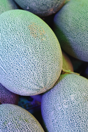 Cantaloupeの写真素材