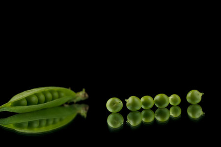 Pea pods on a black background, green peas in a pod on a dark backgroundの写真素材