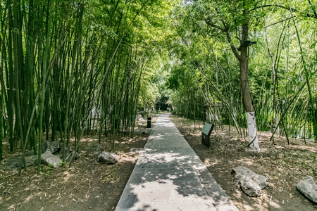 Natural Landscape of Zhuyuan Park, Baohe Park, Hefei City, Anhui Provinceのeditorial素材