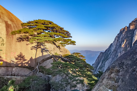 Huangshan Mountain Scenic Area, Huangshan City, Anhui Provinceのeditorial素材