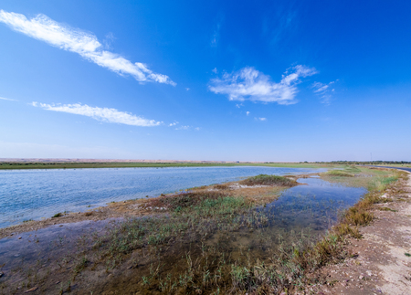 Inner Mongolia Tonghu Grassland Scenic Spot Wetland Landscapeの写真素材