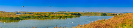 Natural landscape of Shahu wetland in Shizuishan city of Ningxiaの写真素材