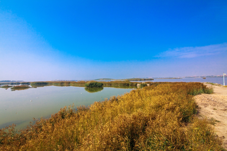 Natural landscape of Shahu wetland in Shizuishan city of Ningxiaの写真素材