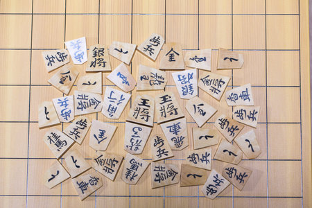 Japanese chessの写真素材
