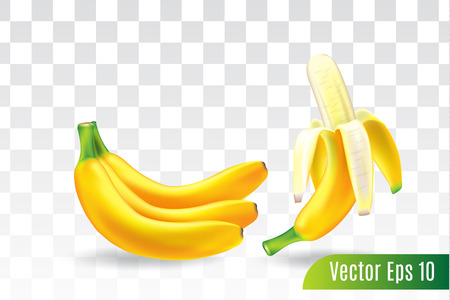 banana fruit on transparent background, 3d realistic vectorのイラスト素材