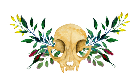 Cat skull on the background of a wreath of branchesの写真素材