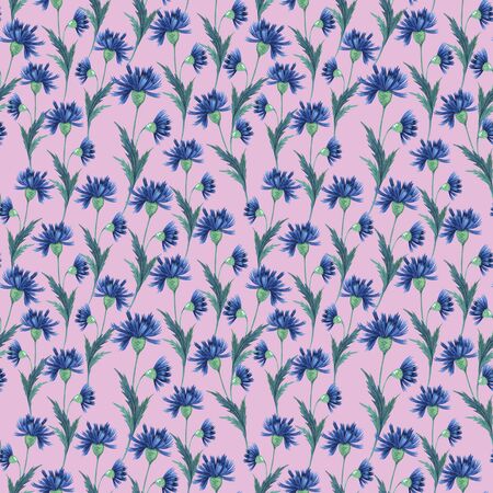 Blue flowers cornflowers on a pink background. Wild flowers endless pattern. For printing and design of notebooks, cards, invitations, prints, fabrics.の写真素材