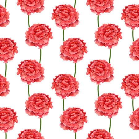 Watercolor flowers of red carnation. A simple seamless pattern on a white background. Lush buds.の写真素材