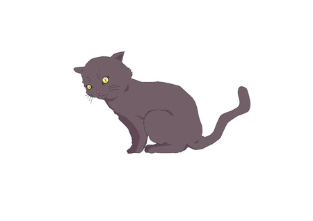 black CATのイラスト素材