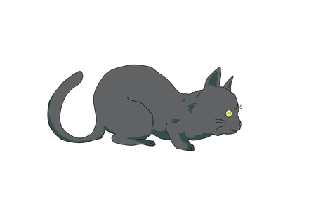 Cute black CATのイラスト素材