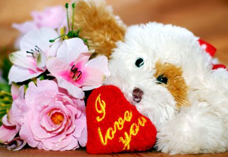 toy dog with heartの写真素材