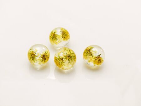 Flowers in Epoxy Resin, Preserving fresh flowers in resin means preparing the flowers first by drying them and covering them with a spray resin so they can hold up to the process. 
の写真素材