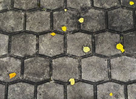Paving slabs and autumn leaves. Background, texture.の写真素材